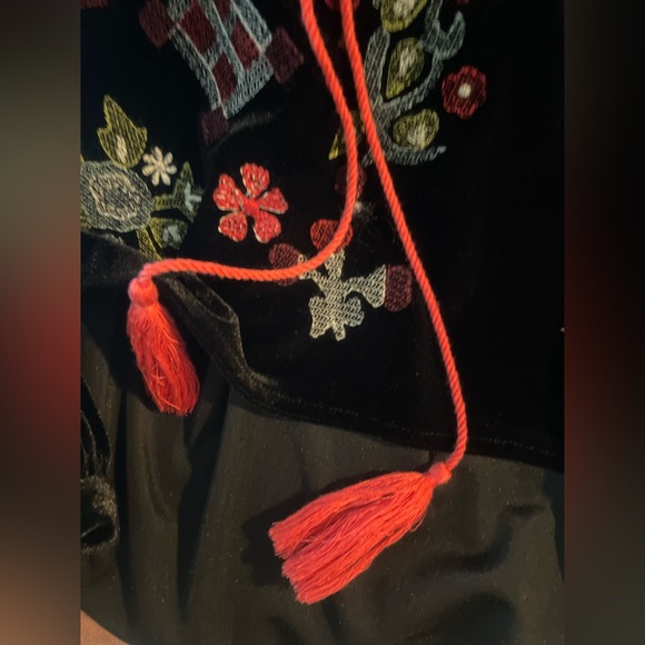 Zara Embroidered Velvet Top - Picture 3 of 8